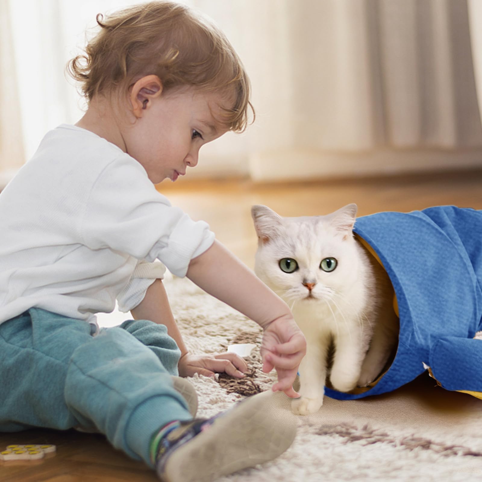 Spardar Tunnel pour Chat, Tunnel 2 en 1 pour Chat, Bleu