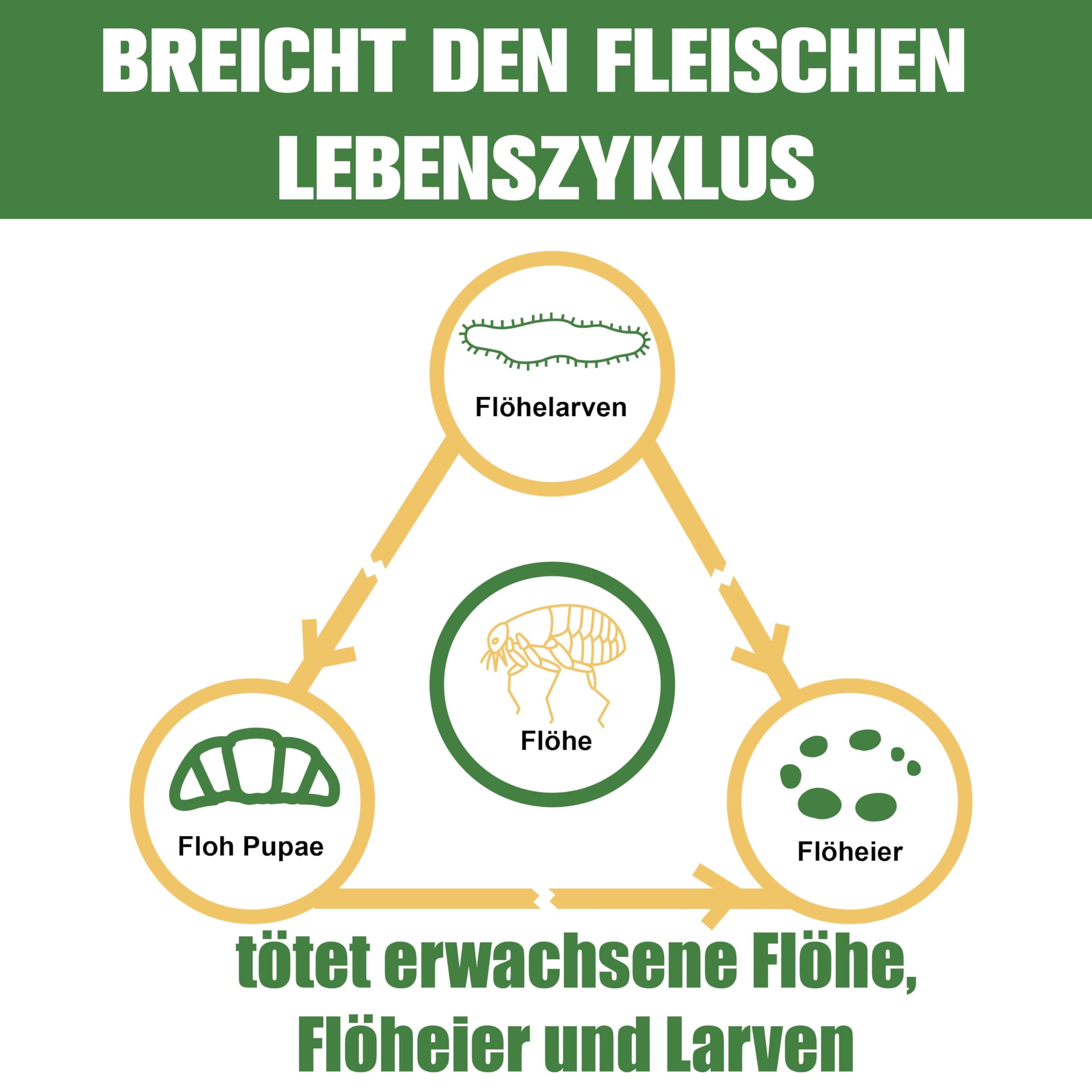 Zeckenschutz für Hunde 6 Pipetten, Spot On Hund, Zeckenmittel für Mittlerer Hunde 10 bis 20 kg, Hunde flohmittel entwurmungsmittel für Hunde, gegen Flöhe & Zecken