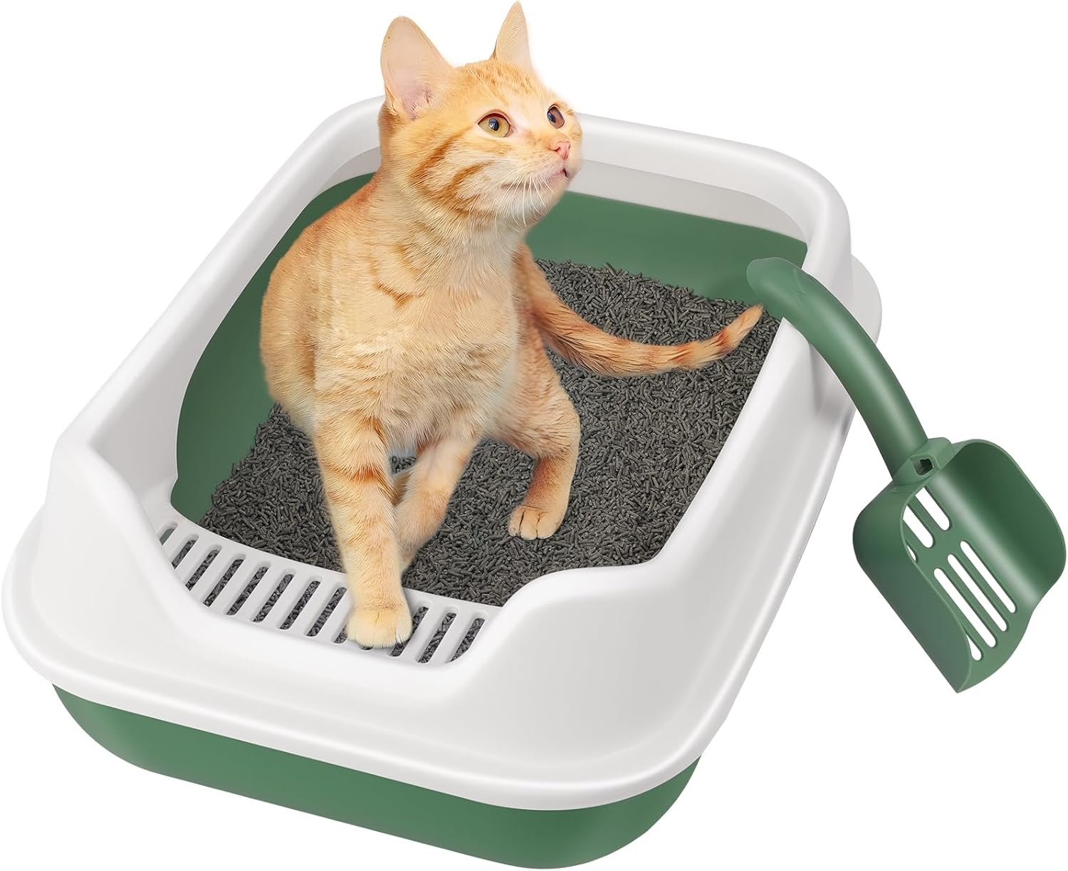 KittyClean XL Cat Litter Box with Control Litter Sheld XL Litter Box for Big Cats