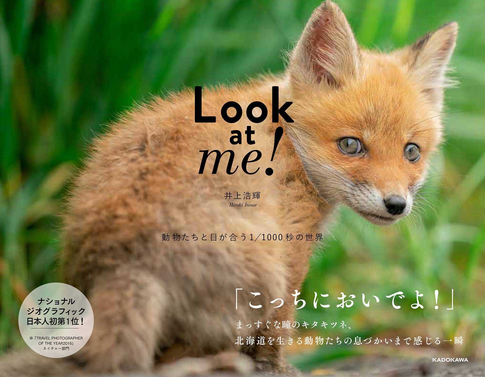 Look At Me 動物たちと目が合う1 1000秒の世界 井上 浩輝 配送料無料