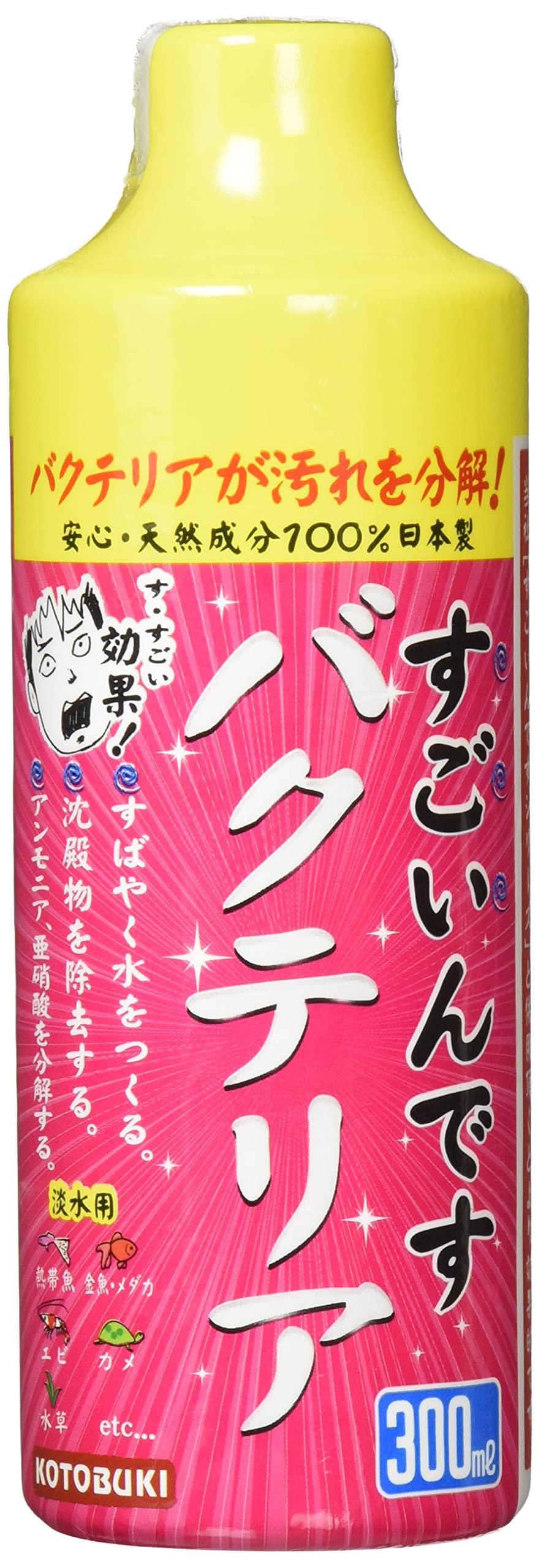 Amazon.co.jp: Sotsuku Katsui Katsui Katsui Katsui Katsui Katsui