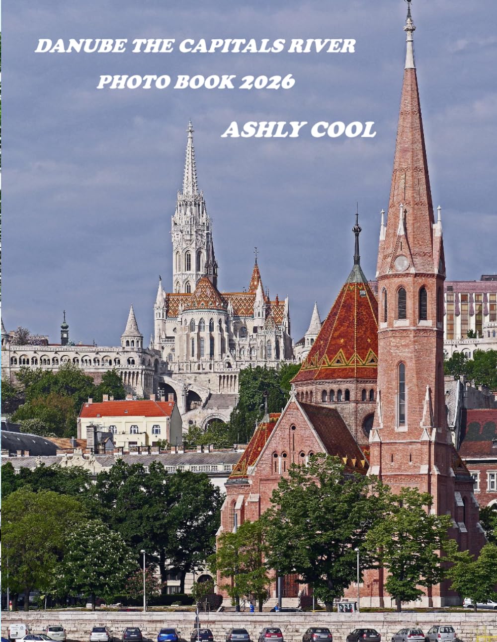 DANUBE The Capitals River: Cool Pictures That Create An Idea For You About - Perfect Gift for tourism & travel lovers.....Relaxing & Meditation.