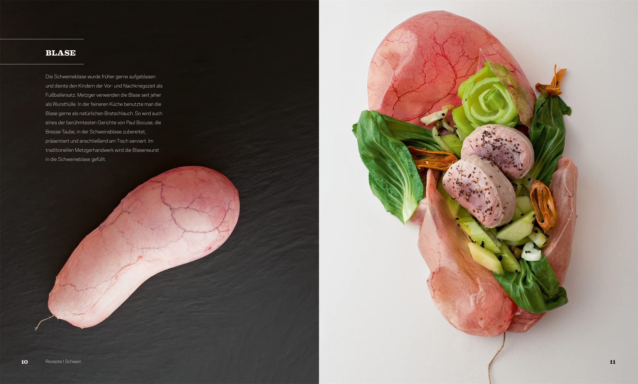 Fleisch: Rezepte und Praxiswissen zu besonderen Fleischstücken