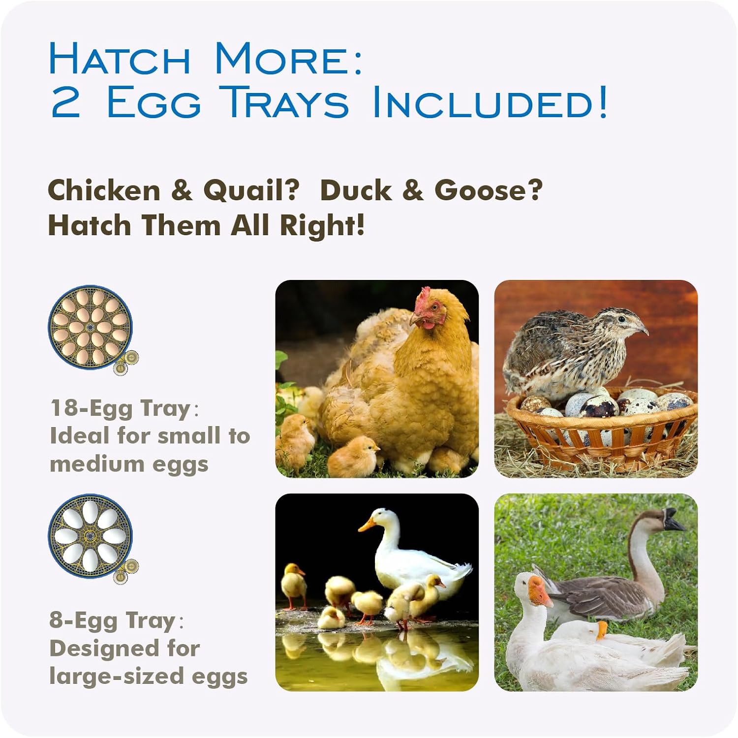 OtterVerz 11 Egg Incubators for Hatching 18-36 Chicken/Quail/Turkey Eggs, 360° View Poultry Incubator with Automatic Egg Turning and Humidity Control, Suitable for Farm, Classroom, Home