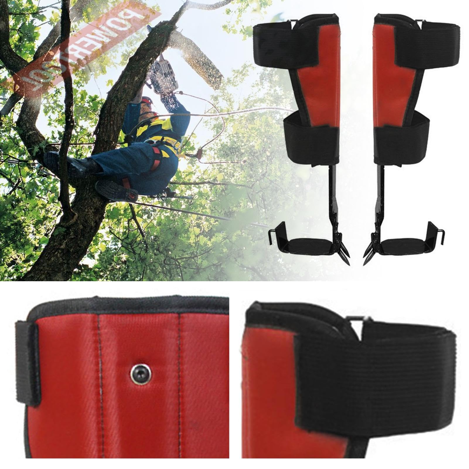 Crampones para trepar árboles, de acero inoxidable, para trepar árboles, artefacto, con pinchos de escalada y correa para el tobillo, equipo de escalada, púas de árbol, para recoger frutas, caza, tala