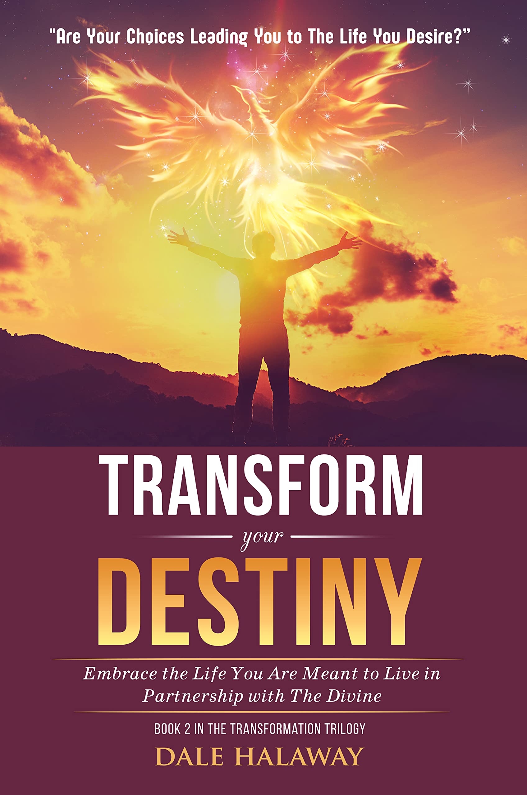 Transform Your Destiny: Embrace the Life You Are Meant to Live in Partnership With the Divine: 2 (The Transformation Trilogy, Book 2)