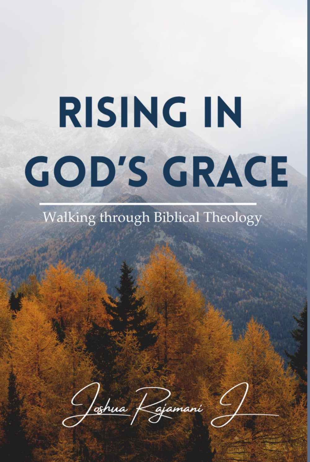 Rising in God's Grace: Walking through Biblical Theology