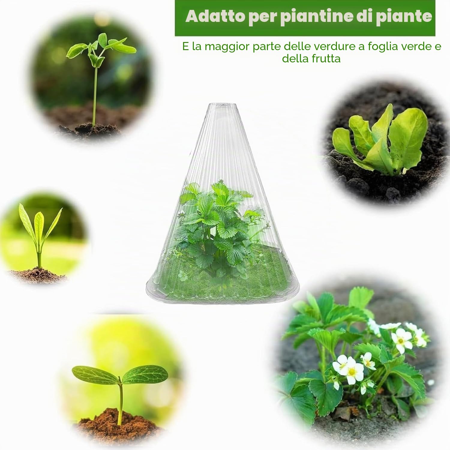 KAHEIGN 20 Pezzi Campane per Piante da Giardino, 22CM x 19CM Copertura per Campana per Piante in Plastica Mini Serra Riutilizzabile per Protezione da Sole Neve Gelo Lumache Uccelli Insetti (Chiaro)