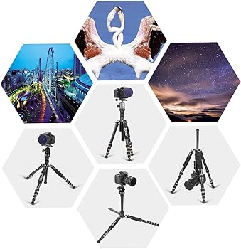 Amazon.com : ZoMei Z669 Magnesium Aluminum Alloy Travel Camera