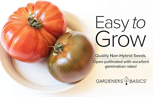 Miniatura 3 de Gardeners Basics Cherokee - Semillas de tomate morado para plantar semillas tradicionales sin OMG para verduras de jardín casero son un gran regalo
