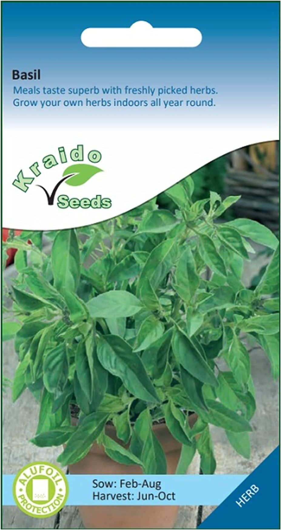 Basil Herb 500 Seeds Ocimum Basilicum, Grow Your Own Herb Garden Indoors on a Windowsill or Outdoors in Pots and Containers