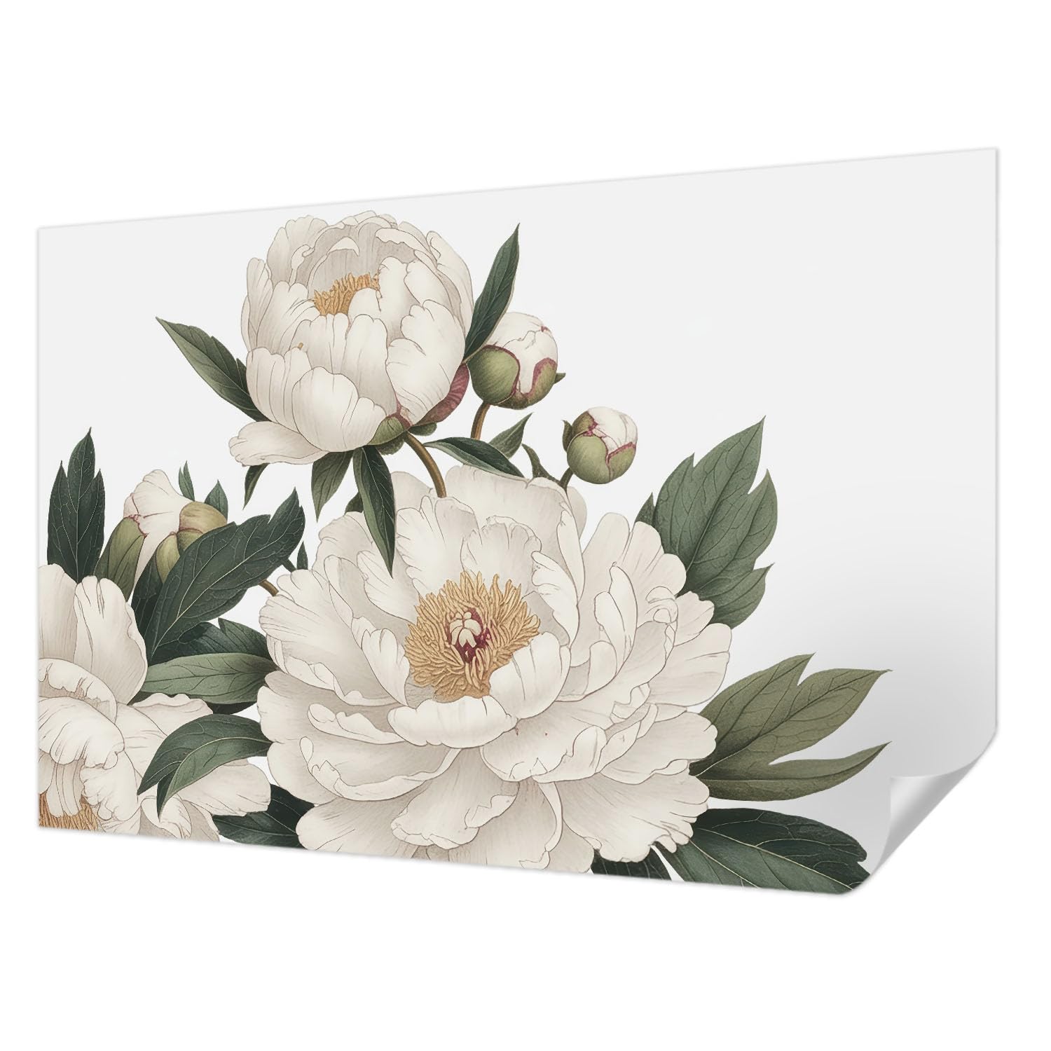 Papier peint adhésif pivoines blanches 104x70 cm Tulup pour décoration murale de salon