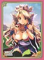 三国志大戦TCG 16弾　PT 甘皇后 2枚セット 三国志大戦TCG 16弾 PT 甘皇后 2枚セット 三国志大戦TCG 16弾