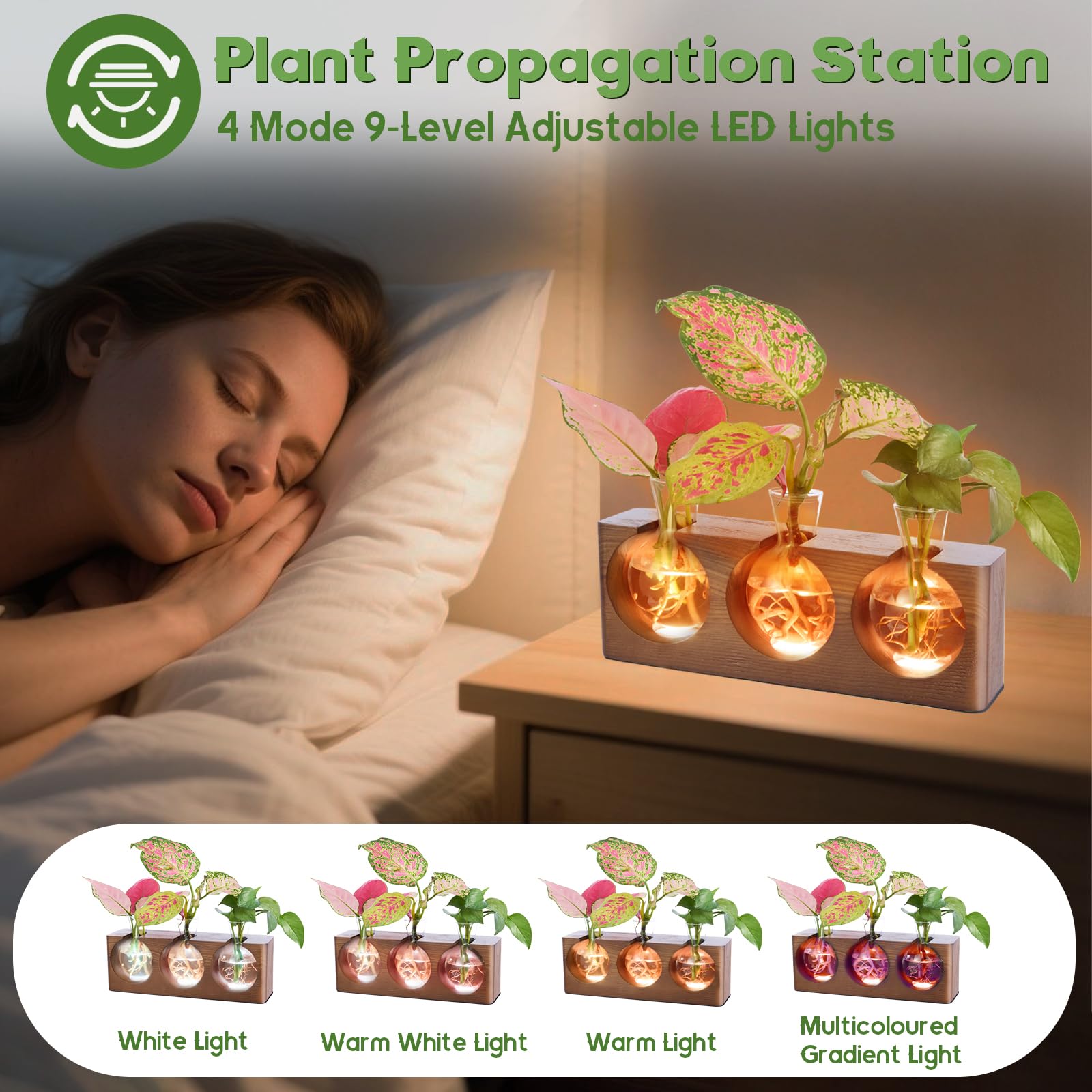 Station de propagation de plantes avec support en bois, terrarium avec 4 modes d'éclairage LED réglables à 9 niveaux, 3 vases de propagation en verre pour culture hydroponique, tubes de propagation