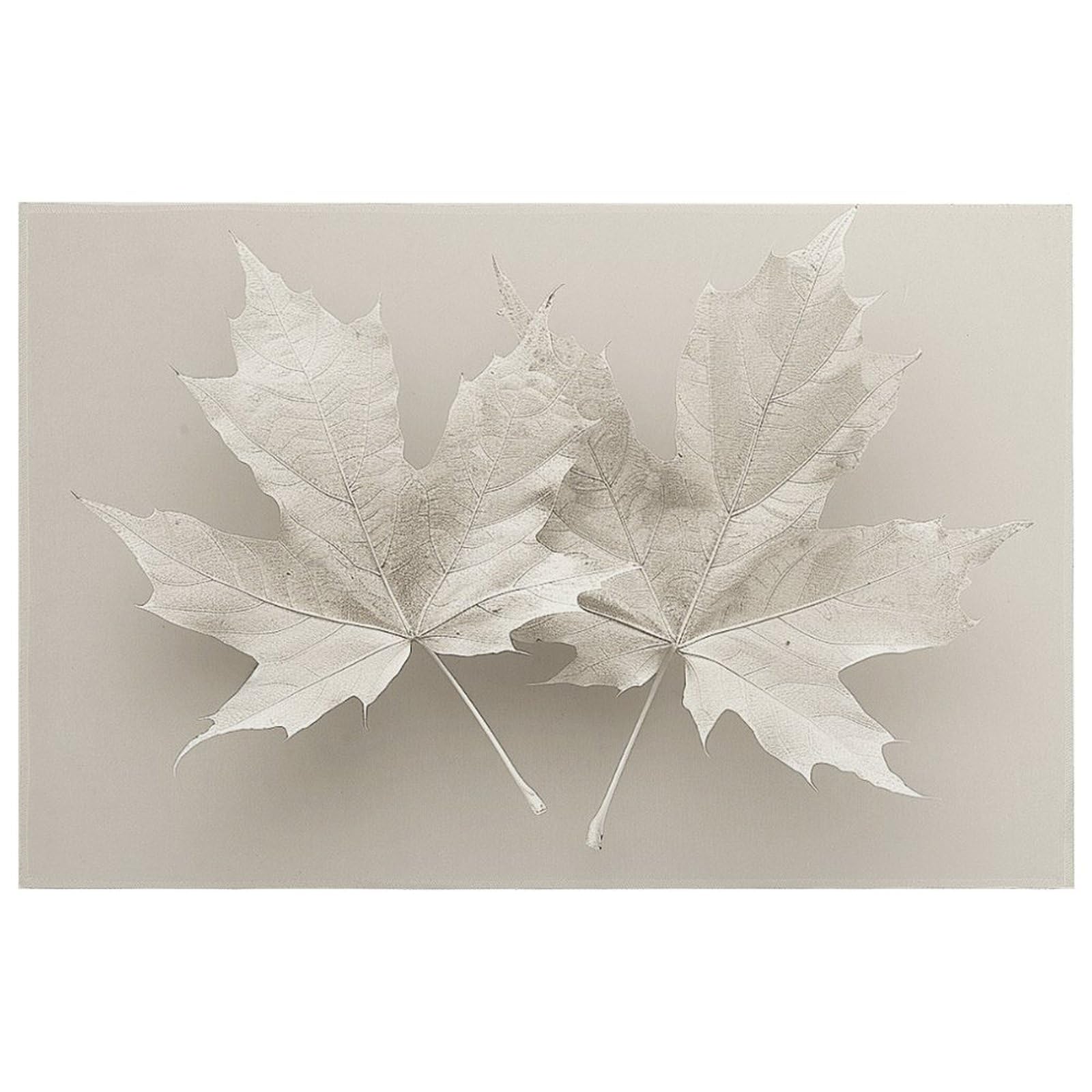 NQLYUT Outdoor Door Mat Non-Slip Two White Maple Leaves Doormat Whith Rubber Welcome Mats Backing Quick Dry Entrance Mat Outdoor Front Doormat Floor Mats for Patio 15.7" X 23.6"