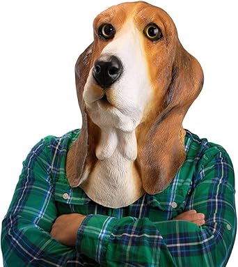 kitten formula australia