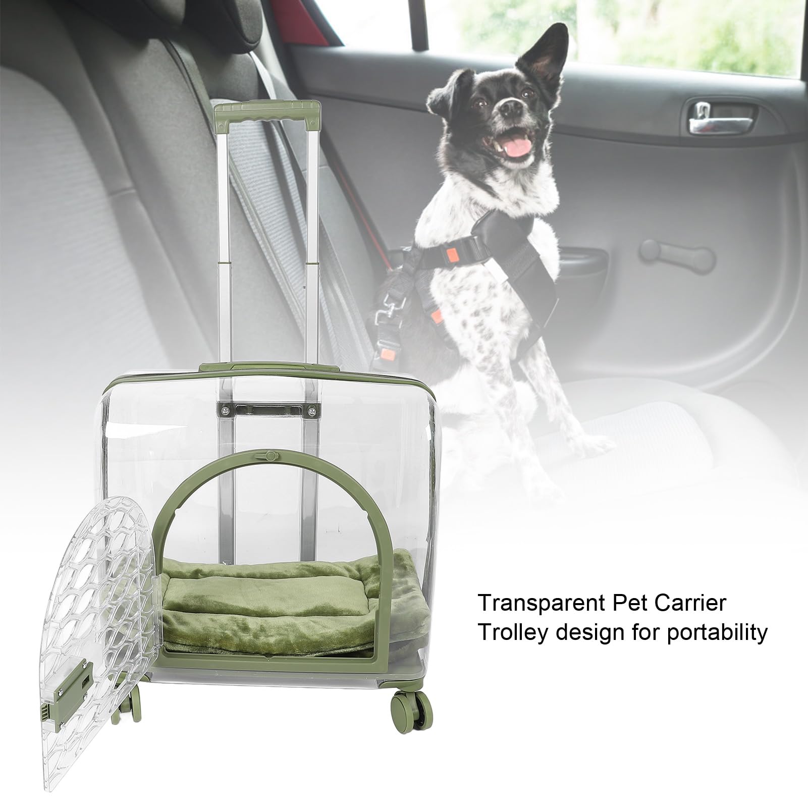 Trasportino Trasparente per Gatti, Trolley Trasparente Traspirante per Animali Domestici Con Manico Telescopico, Ruote E Coperta Bagaglio Rigido Portatile per Gatti per Cani