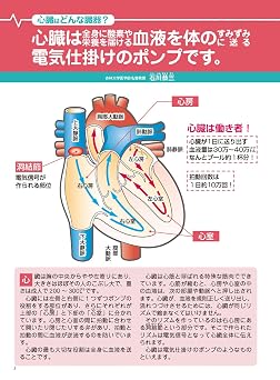 -動悸・ドキン・胸のつまり感・息切れ・めまい- 不整脈 脈飛び 頻脈・徐脈 期外収縮 心房細動 最新最強脈正し自力克服大全 健康実用