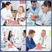 Vista 8 de Entrenador avanzado de traqueotomía simulador de traqueotomía de PVC para entrenamiento de cuidado de cricotirotomía y traqueotomía - Maniquí