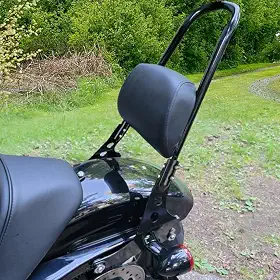 Sresk Motocicleta Destacável Traseiro Passageiro Sissy Bar Encosto Vertical com Almofada Almofada para Harley Sportster XL 883 1200 2004-Up com Clipe de Trava de Ferragem de Ancoragem Fácil Instalação