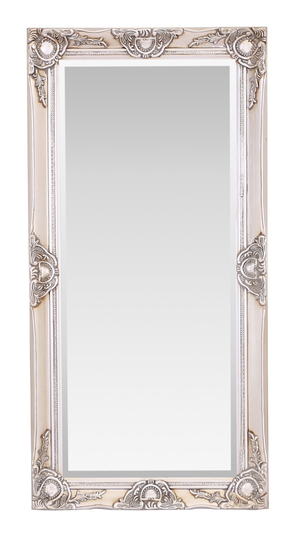 Select Mirrors Antique Champagne Haywood Large Rectangle Wall Mirror (, 50Cm X 100Cm)