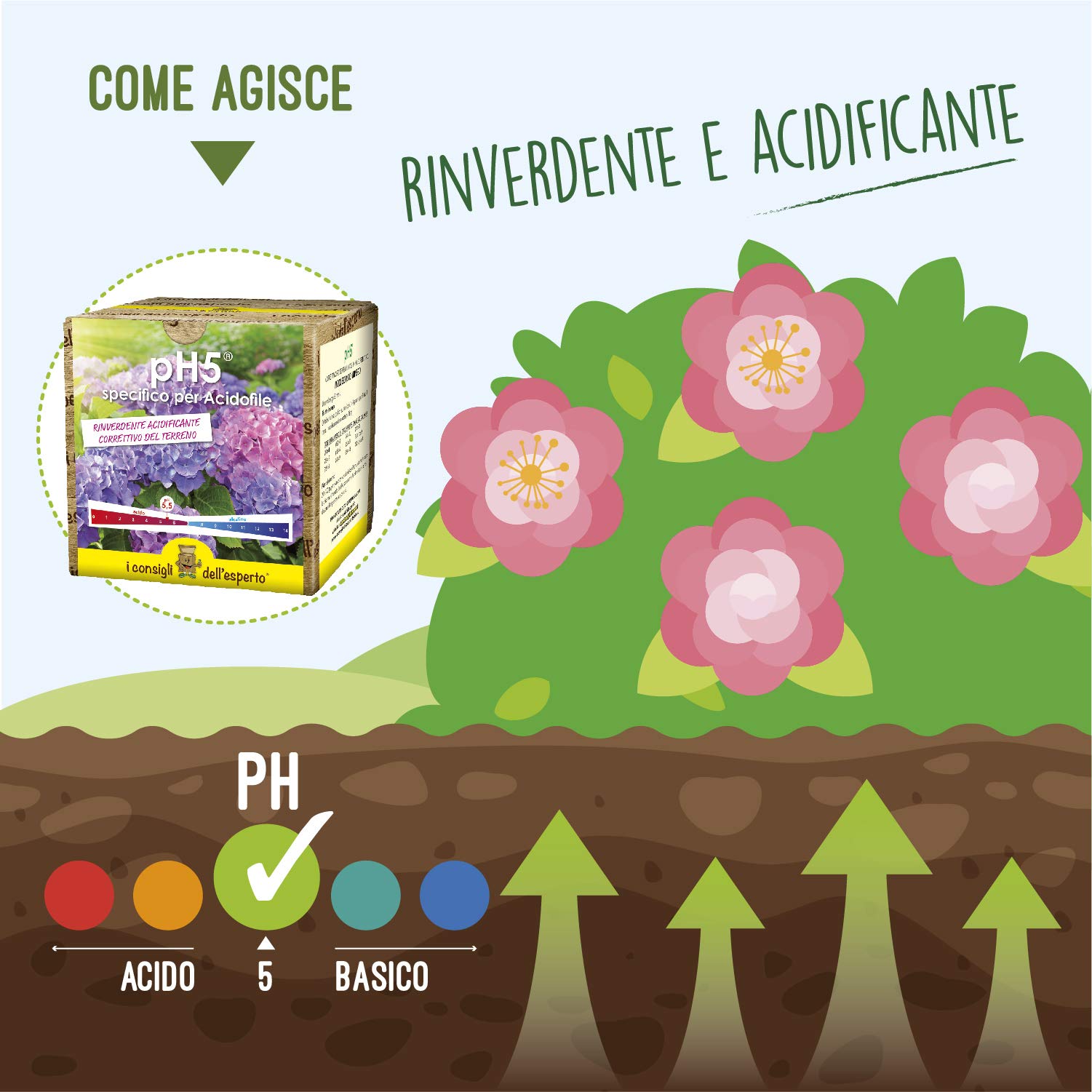 I Consigli dell'Esperto - PH5 Correttivo Terreno a Base di Zolfo 50% Rinverdente - Migliora Nutrienti e Struttura del Suolo - Effetto Rinverdente Durevole - per Giardini Orti e Acidofile - 0.7 kg