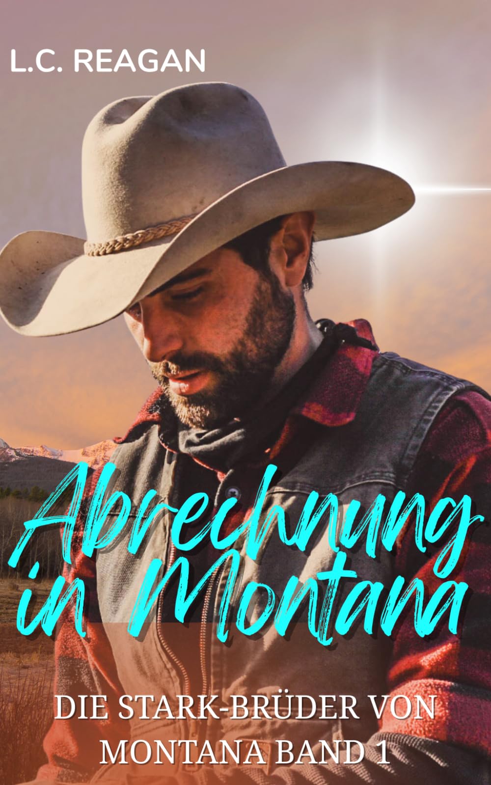 Abrechnung in Montana: Eine Zweite-Chance-Cowboy-Romanze (Ellis' Geschichte) (Die Stark-Brüder von Montana)