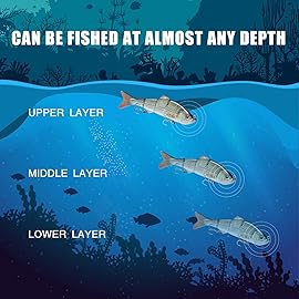 TRUSCEND Fishing Lures for Bass Trout Swimbaits for Bass Fishing Segmented Multi Jointed Swim Baits Slow Sinking Swimming Lures for Freshwater Saltwater Fishing Gear Lure Kit Gifts Plugs