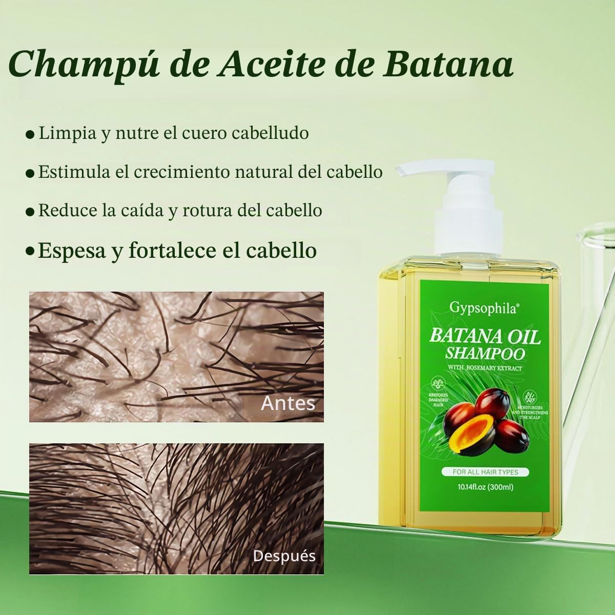 Champú de aceite de batana, champú de romero, nutritivo y rejuvenecedor para suavidad y volumen, adecuado para hombres y mujeres, reduce la pérdida de cabello (10.5 onzas líquidas)