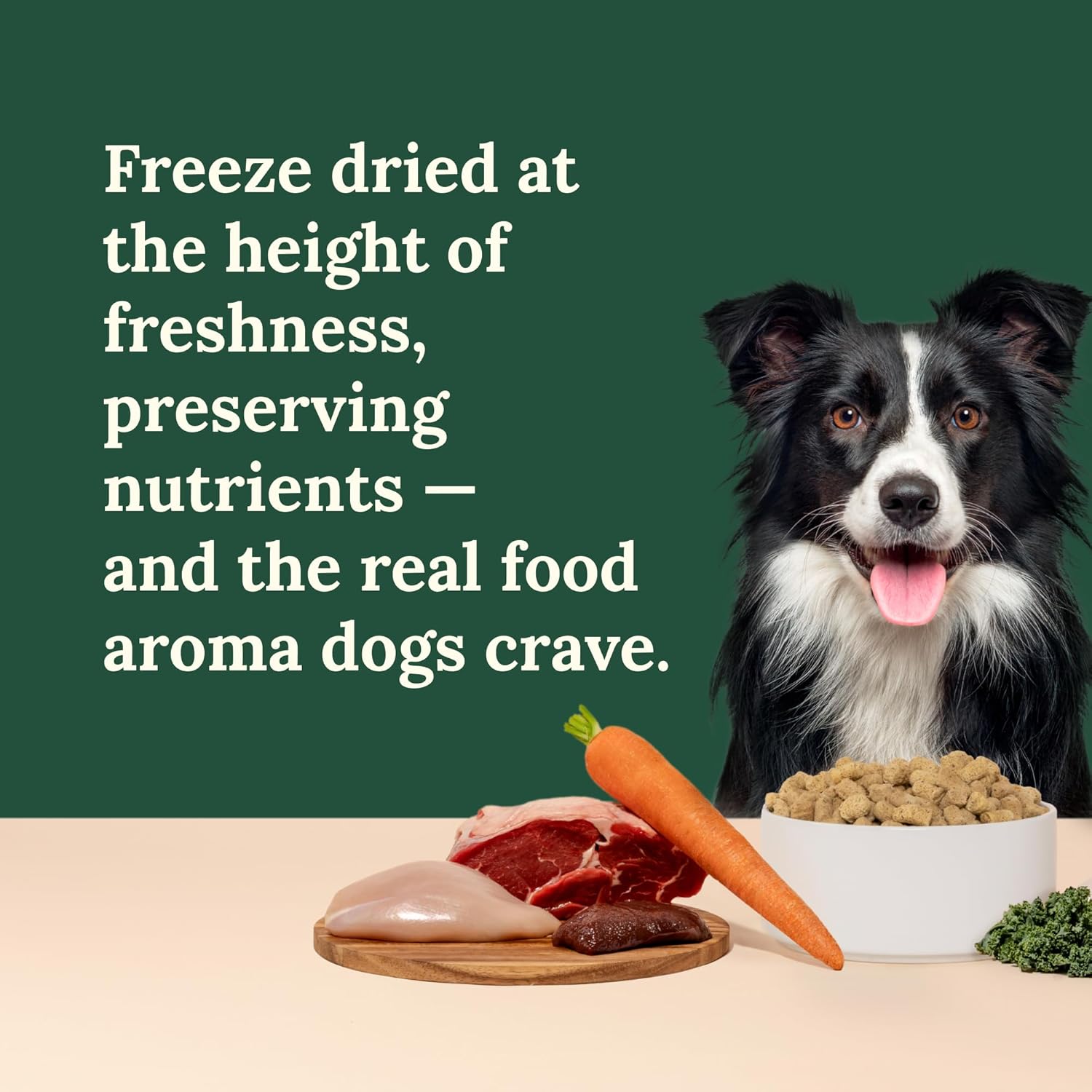 360 Pet Nutrition Freeze-Dried Raw Dog Food – Multi-Protein with Beef, Chicken, Fish, Liver & Organs, High Protein Omega-3s Fruits Veggies & Superfoods Grain-Free, No Fillers, 4 x 5 oz – Made in USA