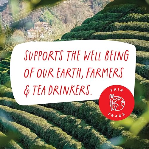 Kubo Tea, Loose Leaf Tea | Brew Hot Or Iced Tea | Healthy Coffee Substitute | Organic High Energy Hot Tea, Premium High Caffeine Blend, 155Mg Caffeine Per Serving | Energize Yerba Mate Tea, 3 Oz #TOP4