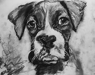 Boxer Puppy Art, Wall Art Print, Boxer Dog Owner Gift, Boxer Dog Art, Dog Wall Art Print, Black and White Boxer Dog Charcoal Drawing Hand Signed by Oscar Jetson