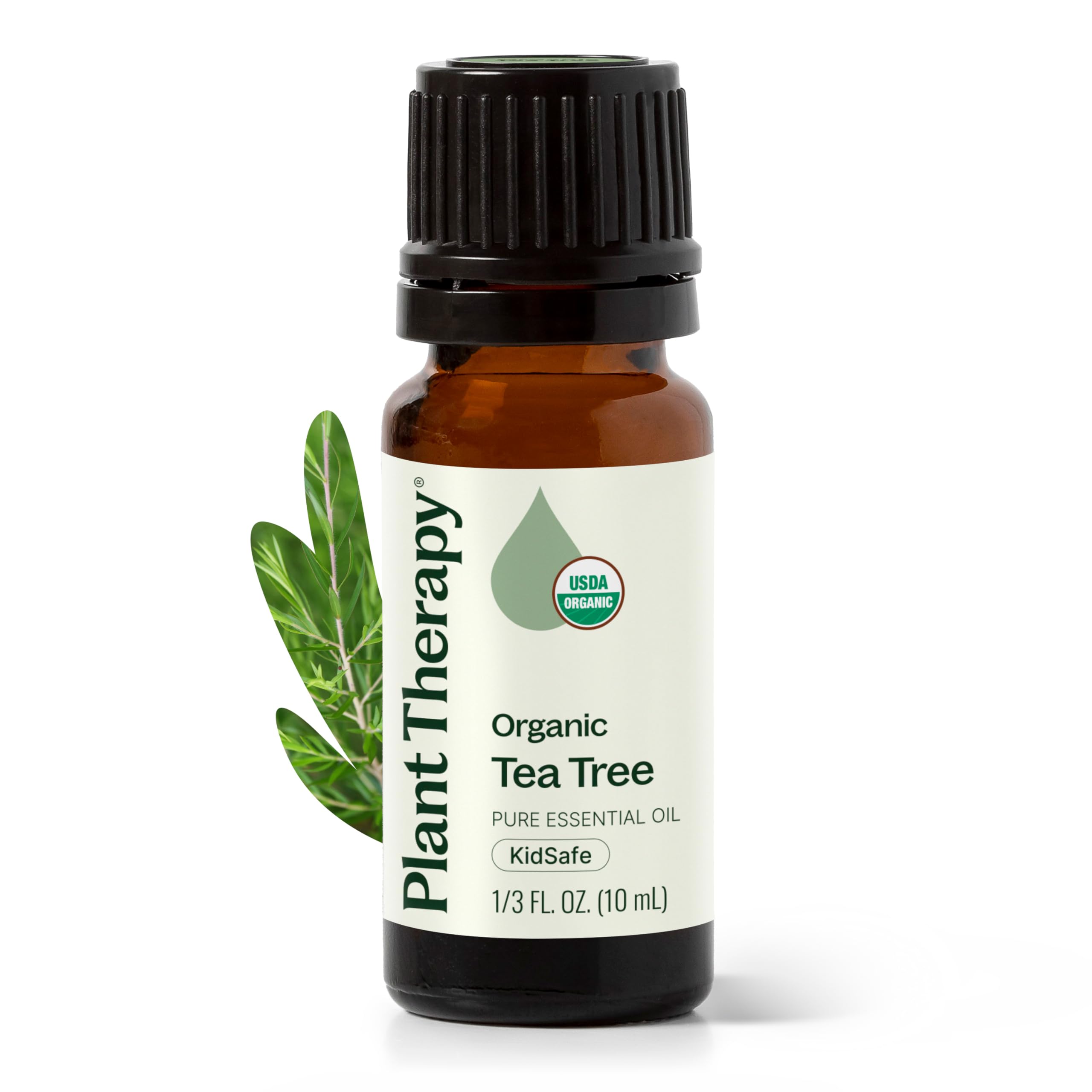 Plant Therapy Organic Tea Tree Oil (Melaleuca) 100% Pure, USDA Certified Organic, Undiluted, Natural Aromatherapy for Skin, Hair, and Toenails, Therapeutic Grade 10 mL (1/3 oz)