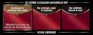 Garnier Olia Hair Dye N ° 6.6 Rouge Intense