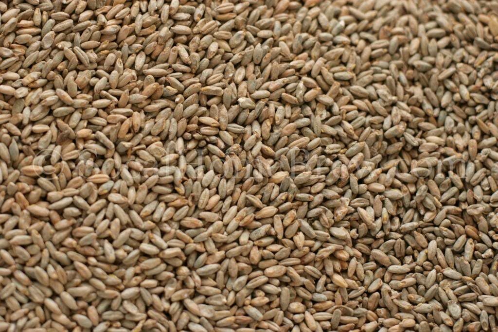 Rye Malt (1 lb)