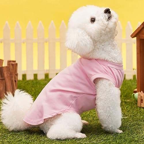 Miniatura 5 de DegGod Camisetas personalizadas para perros con nombre para mascotas, transpirable, estampado personalizado o nombre bordado, ropa de verano sin