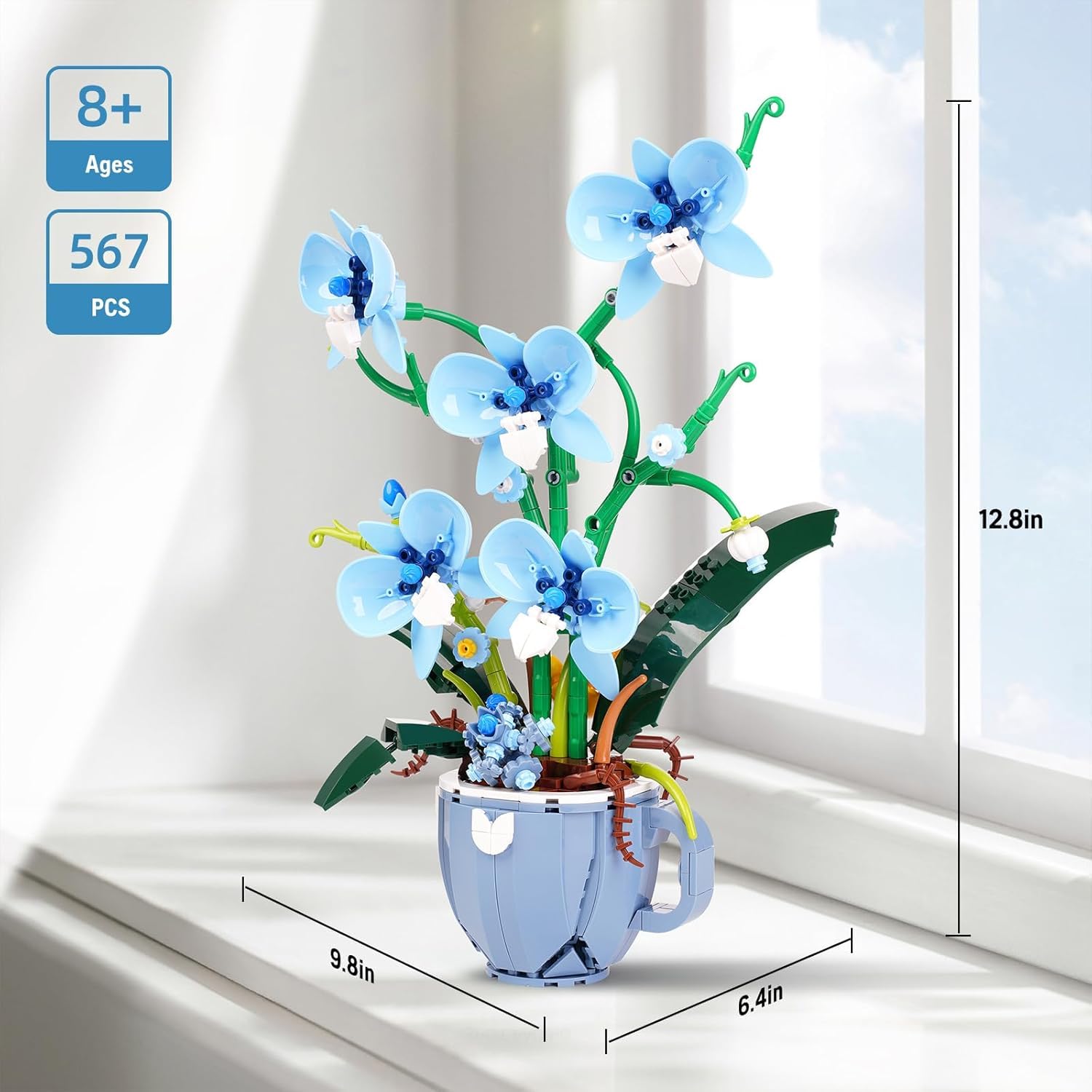 View 9