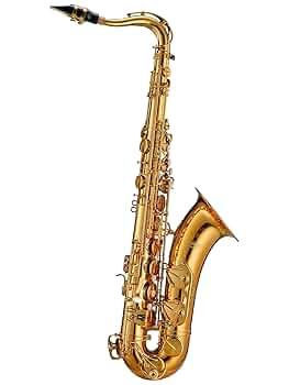 【最上位モデル】Antigua Pro One AS6200 アルトサックス ProOne ALTO – AS6200 – Antigua Winds