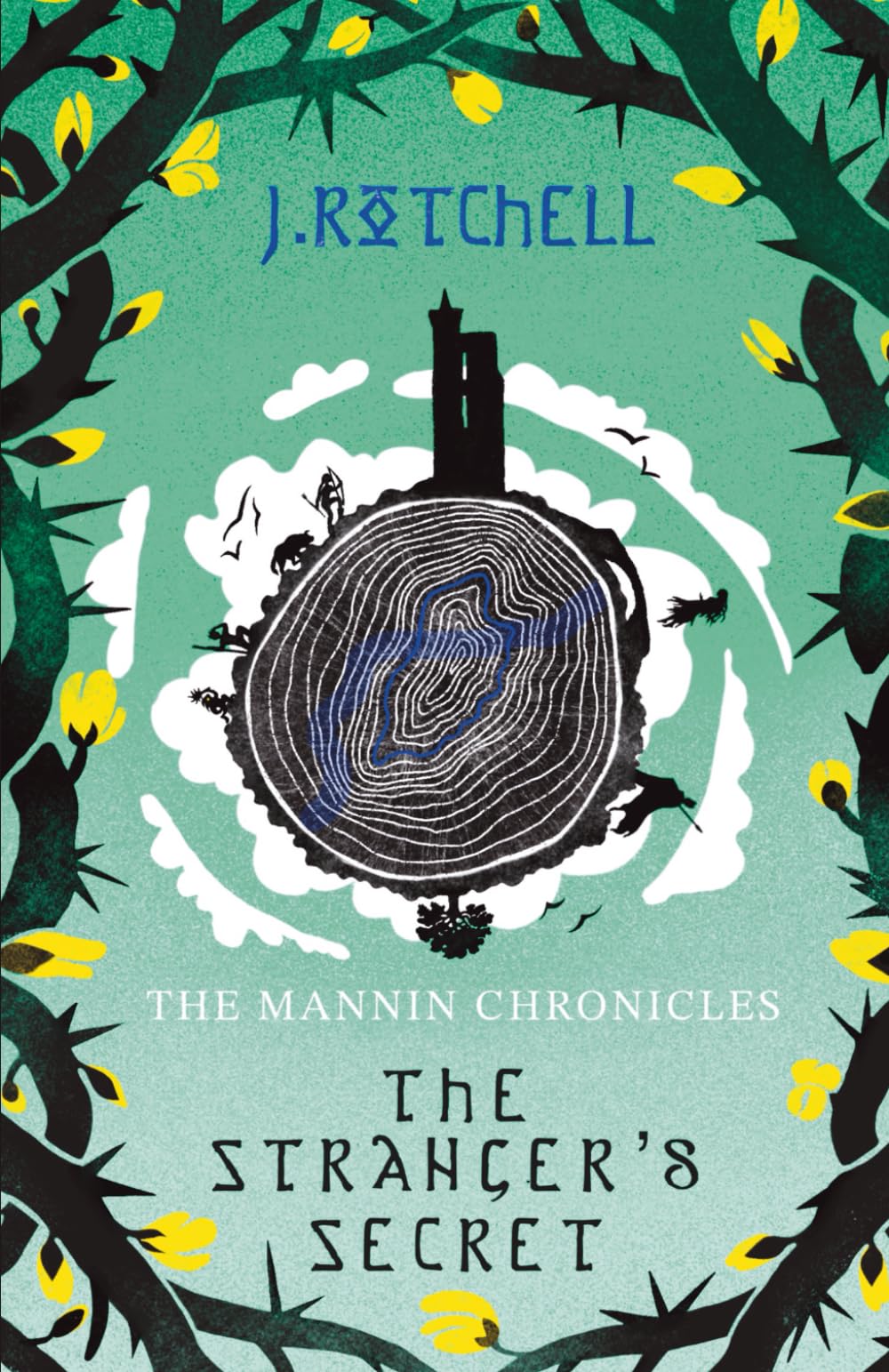 The Mannin Chronicles : The Stranger's Secret