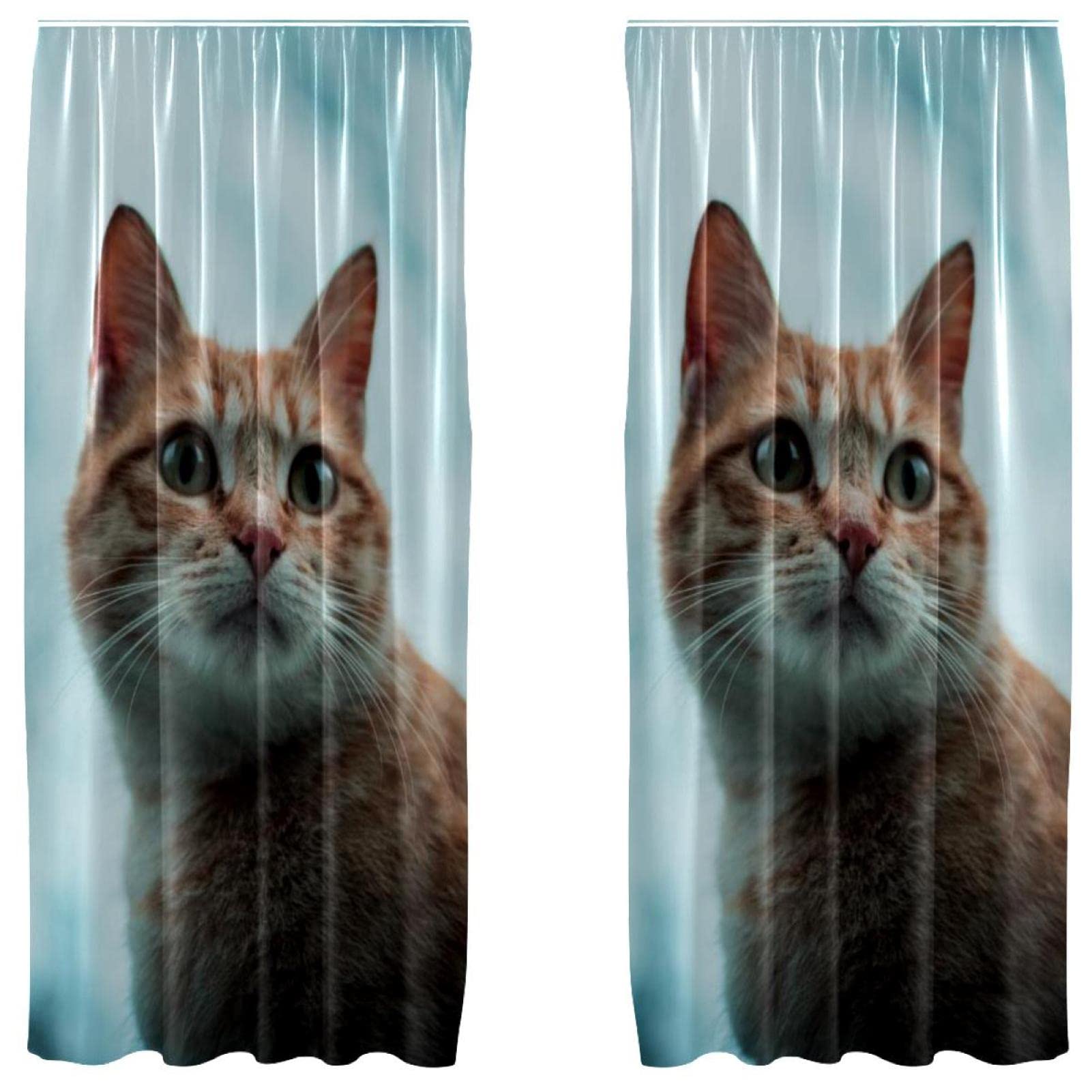 Cortinas opacas de gato contra la luz exterior en dormitorios de niños