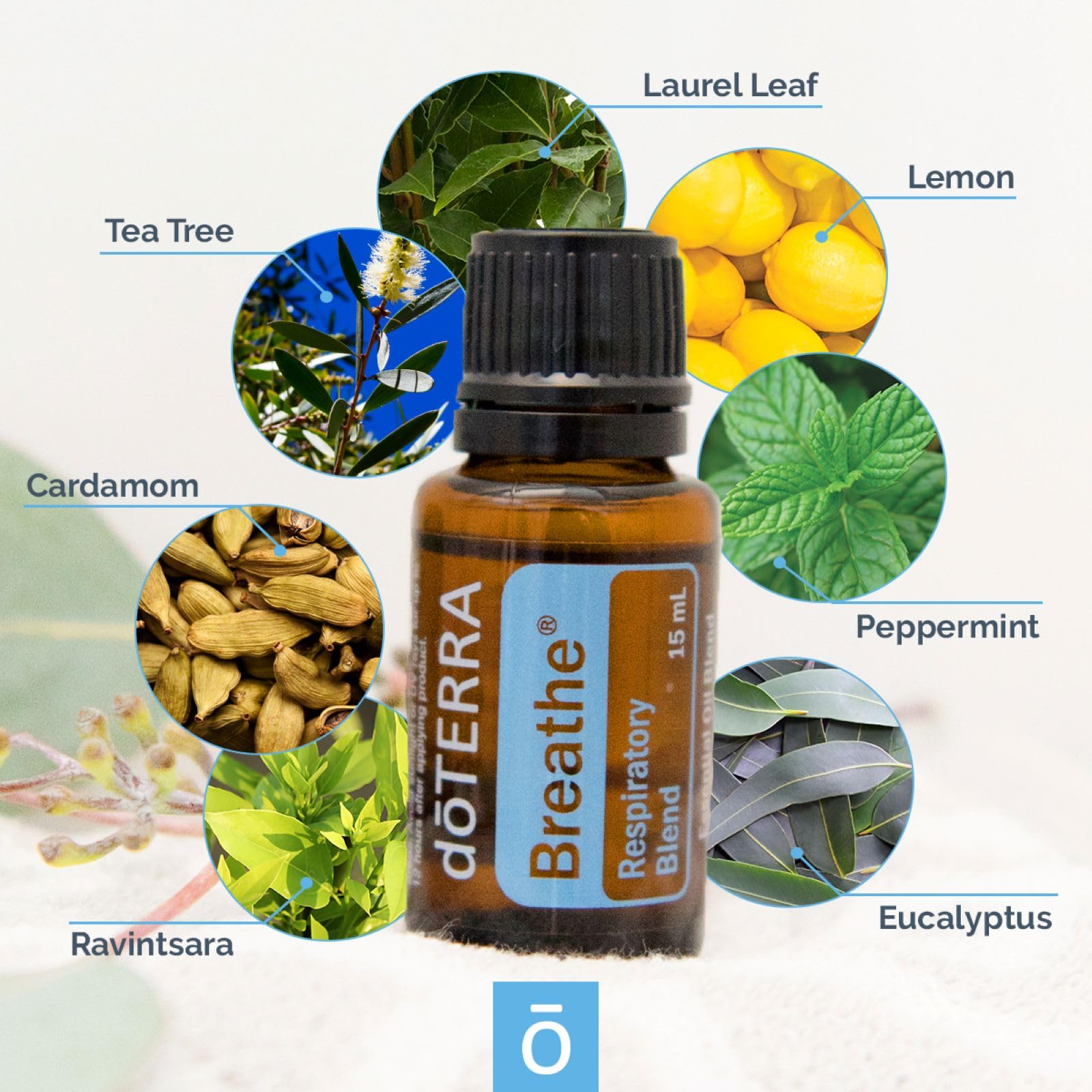 Amazon.com: doTERRA Breathe Essential Oil Respiratory Blend 15 ml