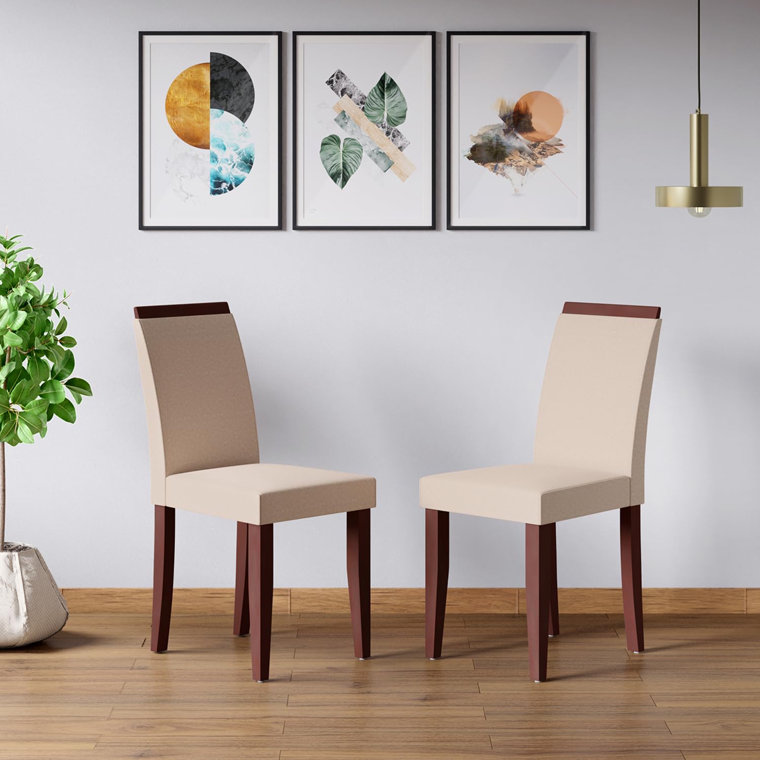 GODREJ INTERIO Dining Chairs Rose Solid Wood Dining Chair, 1-Year Warranty, Dark Chocolate (Set of 2)-image-40