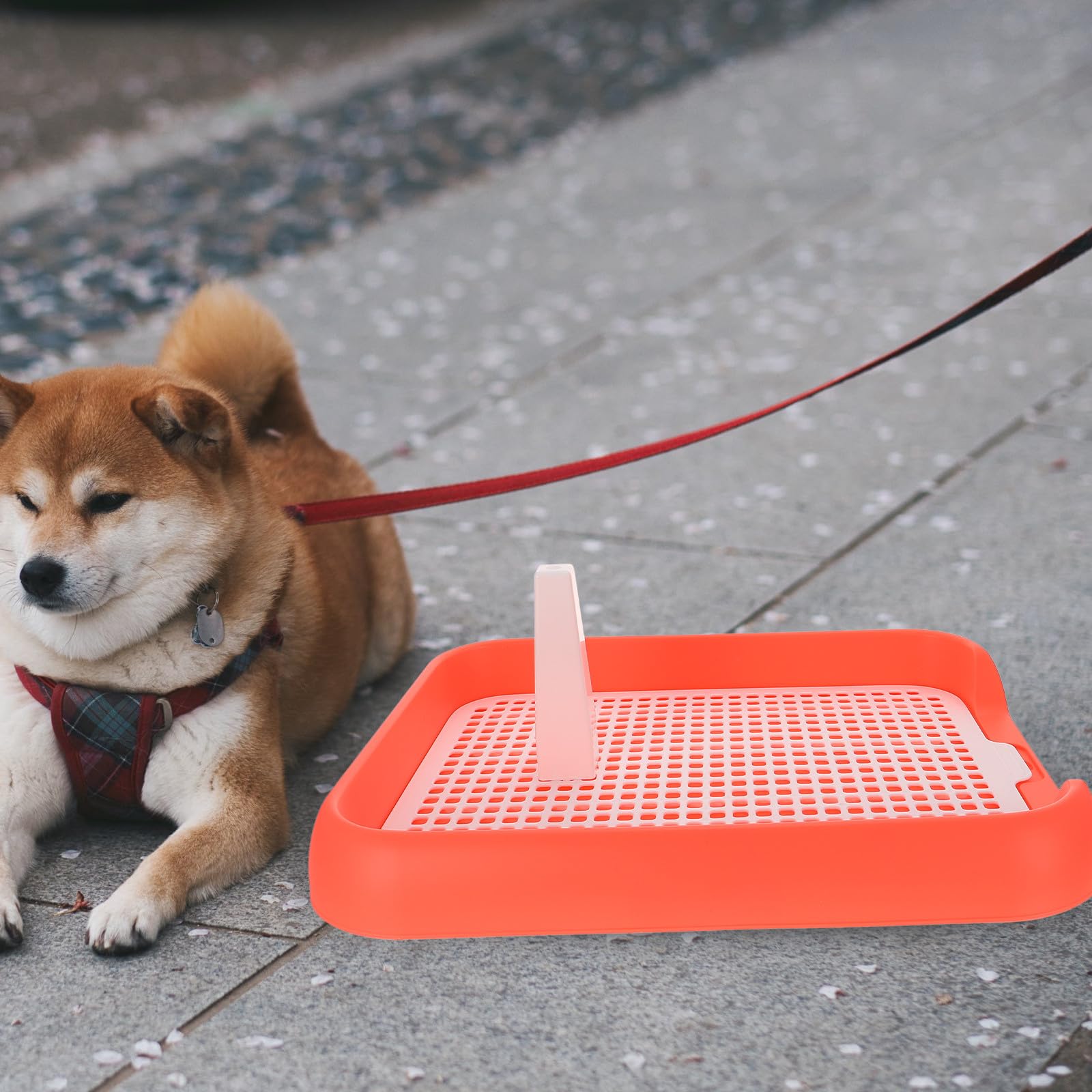 Toilette per Cani da Interno per Cuccioli Design Antiscivolo Bordi Rialzati e Maniglia per Spostamento Comodo Vasino per Addestramento Igienico Animali Domestici