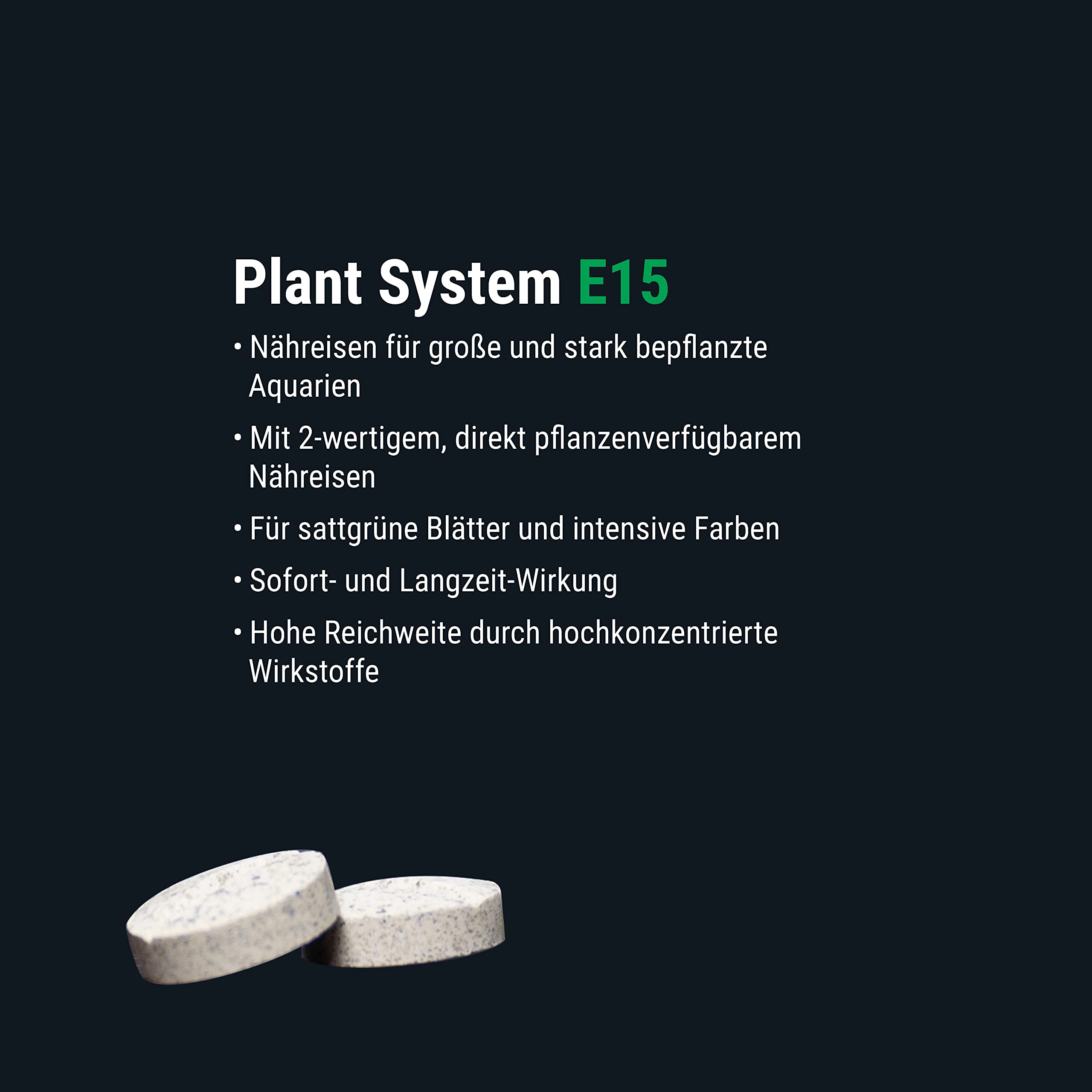 Dennerle Plant System Set, Düngesystem für Aquarien | Für bepflanzte Aquarien, abgestimmt auf große und anspruchsvolle Becken