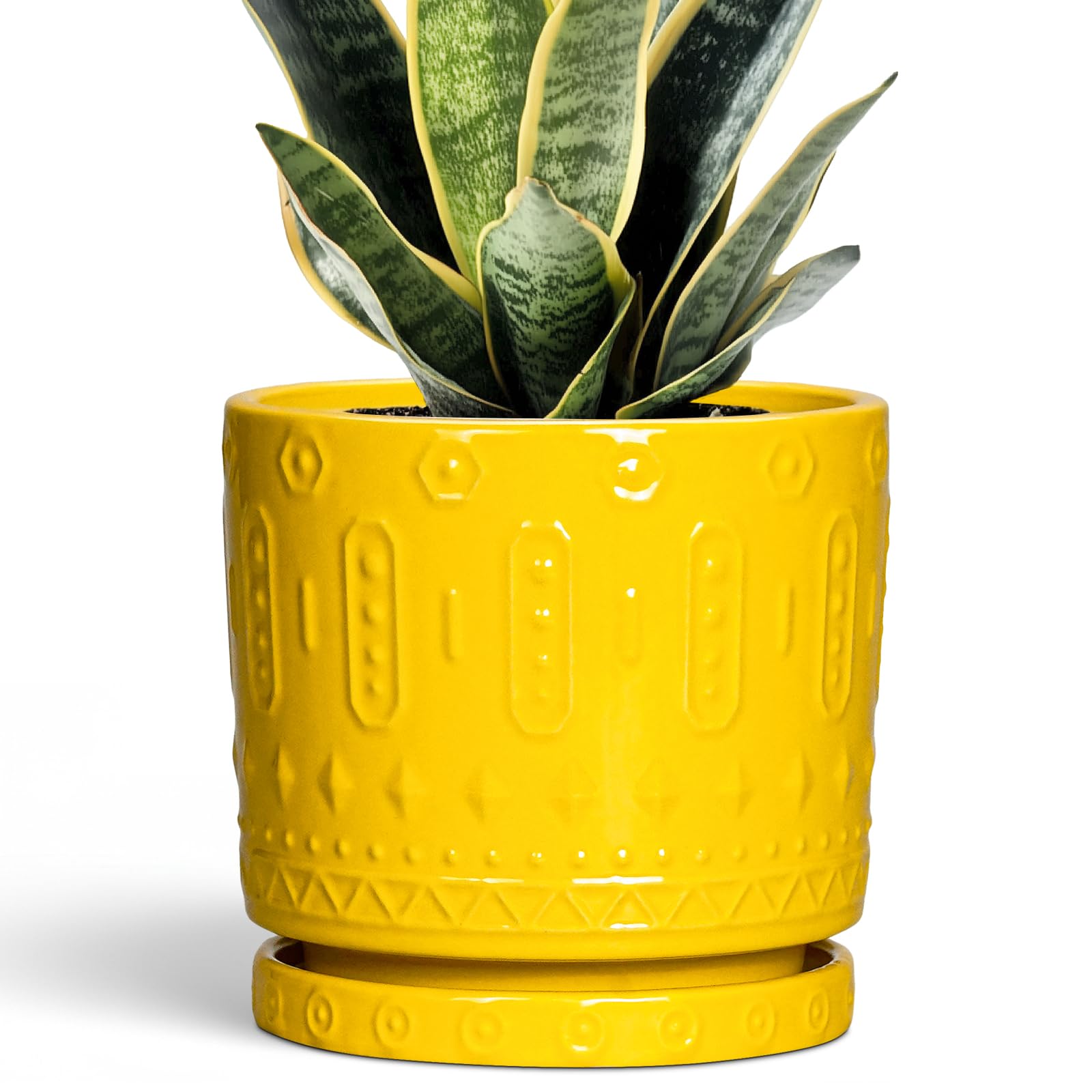 Eightpot 6 Inch Ceramic Pot