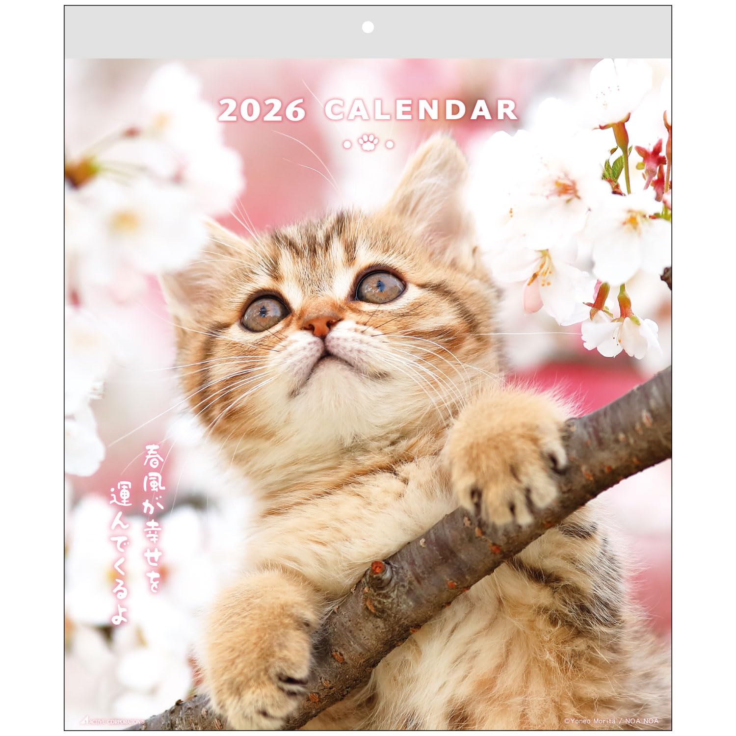 猫が邪魔で何も見えないカレンダー 猫が邪魔で何も見えないカレンダー Amazon.co.jp: トライエックス 人生は