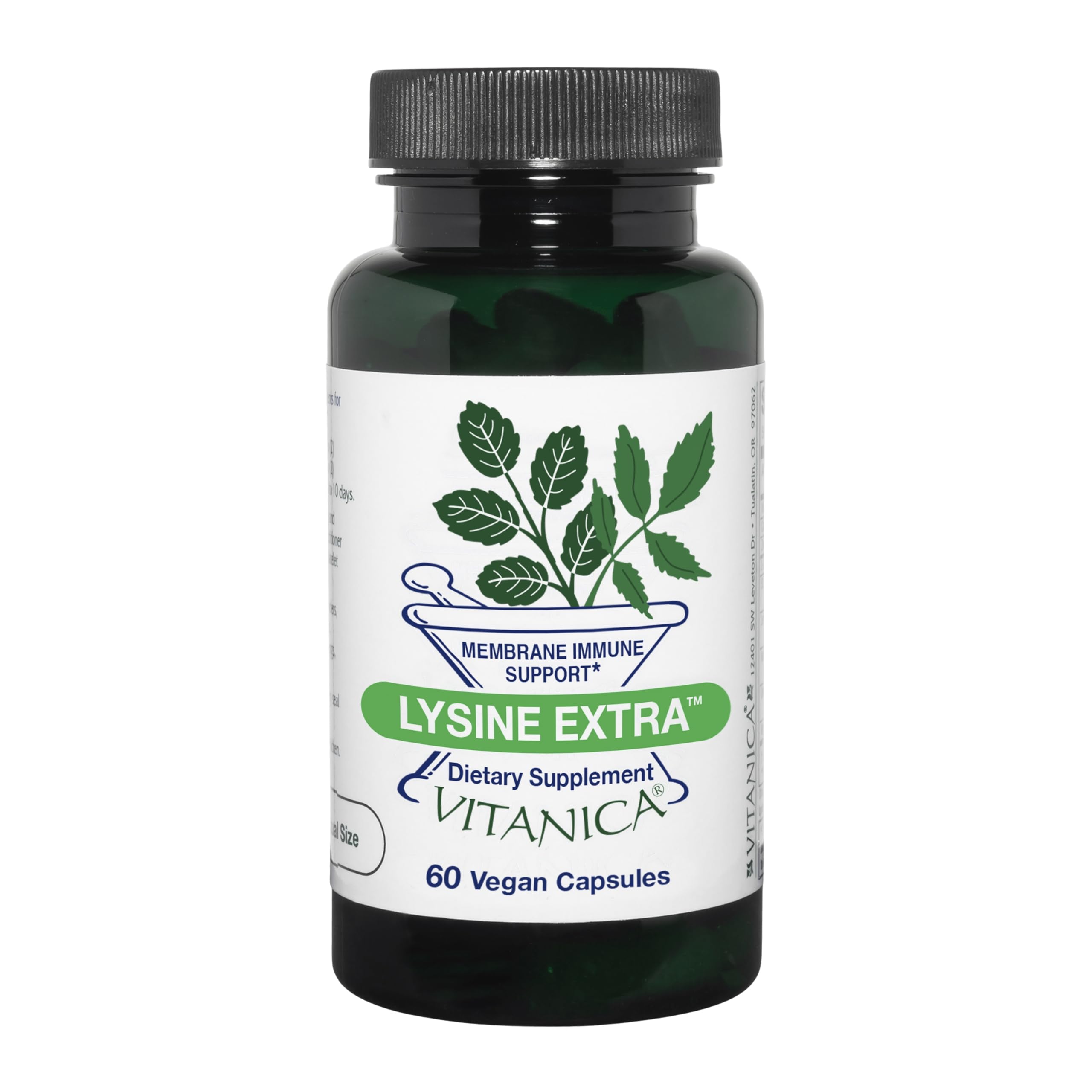 Lysine Extra, Immune System Support, Vegan, 60 Capsules