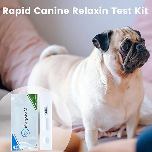 Miniatura 6 de MONGGO Q Kit de prueba de embarazo para perros, 10 piezas, prueba rápida de embarazo para perros, suministros de tiras de prueba para embarazadas