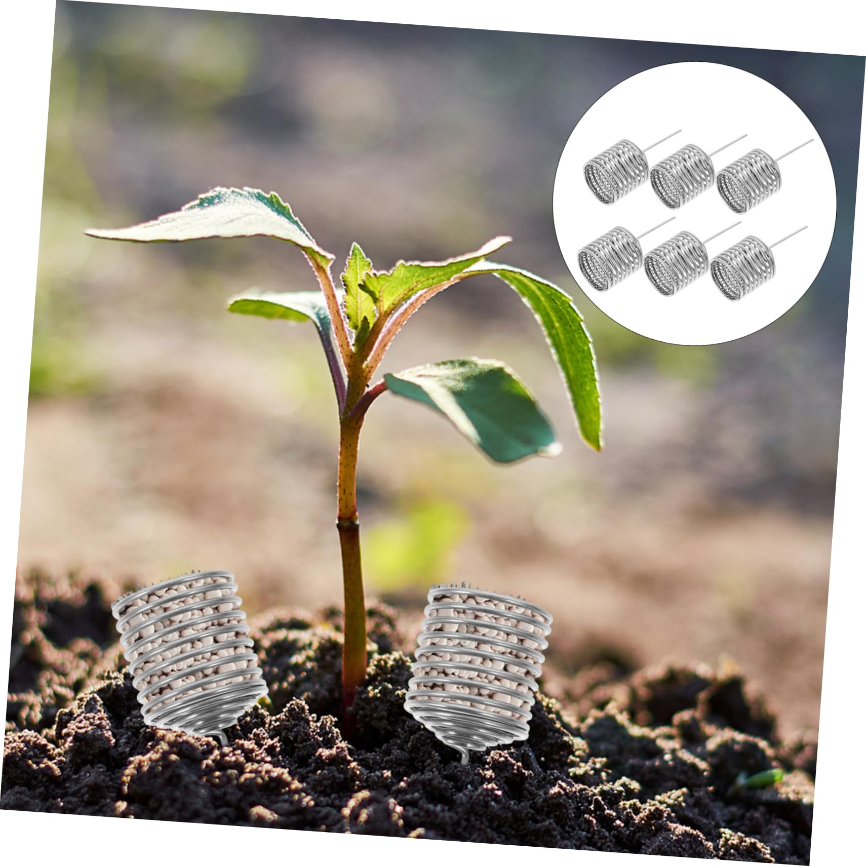 Cestini Fertilizzante Per Bonsai - 100 Pezzi In Resina PP, Ideali Per Piante In Vaso