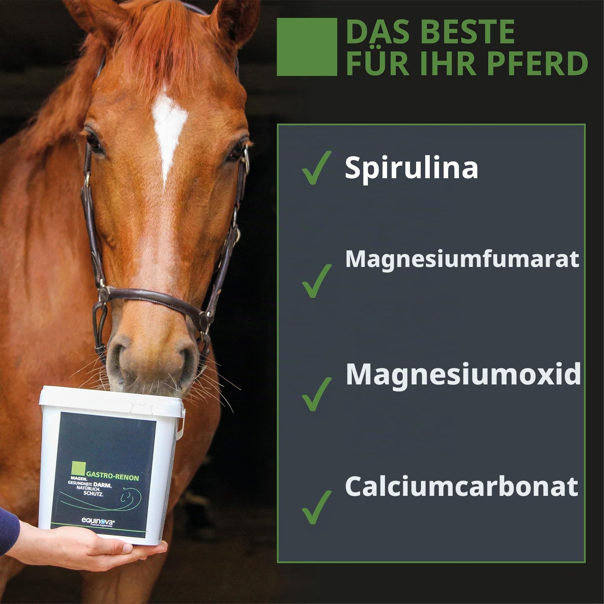 Gastro RENON 3kg - für Magen- und darmempfindliche Pferde – mit Magnesium, Vitaminen, Zink – Ergänzungsfuttermittel
